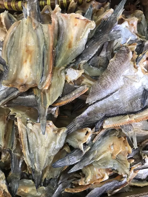 ikan siam